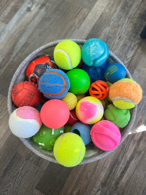 Assorted colorful dog toys including balls and chew toys in a basket on a wooden floor.