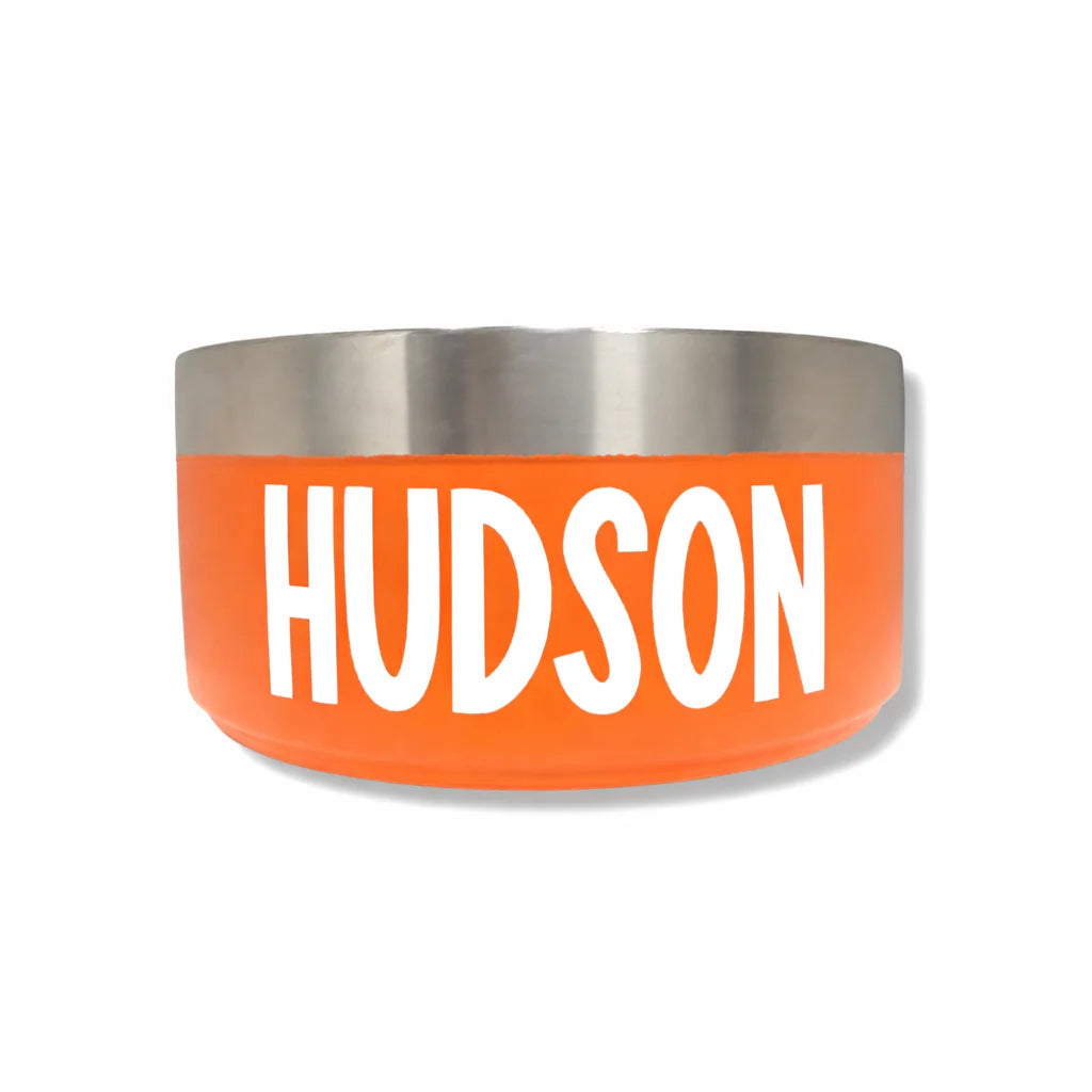 Orange pet bowl with 'Hudson' printed on it against a white background