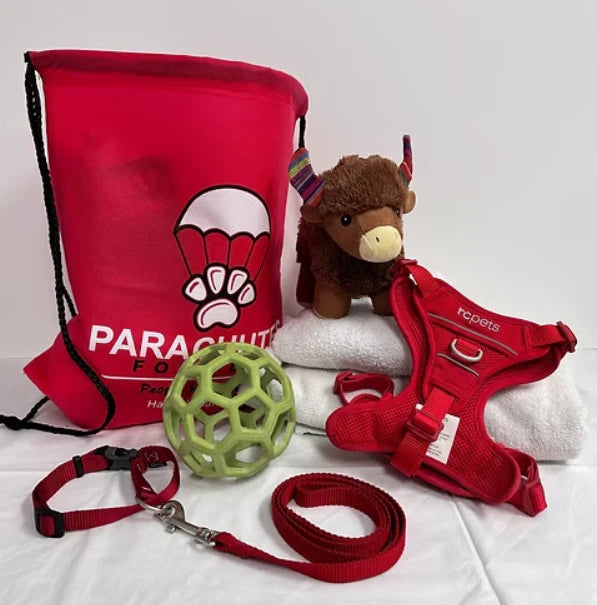 Dog accessories including a red 'Parachute' bag, harness, leash, toy, and plush toy on a white background.